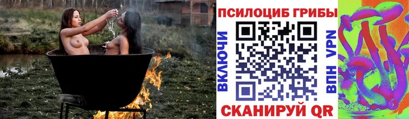 купить наркотики сайты Руза Псилоцибиновые грибы Psilocybine cubensis